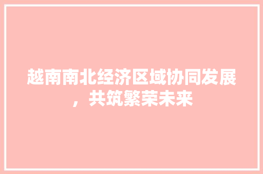 越南南北经济区域协同发展,共筑繁荣未来 越南南北经济区域协同发展,共筑繁荣未来