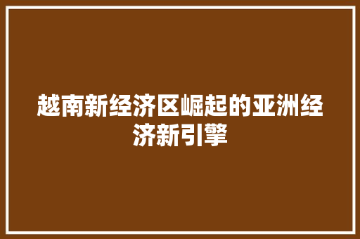 越南新经济区崛起的亚洲经济新引擎 越南新经济区崛起的亚洲经济新引擎