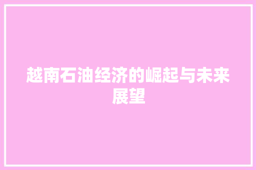 越南石油经济的崛起与未来展望 越南石油经济的崛起与未来展望