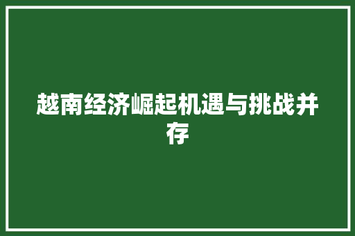 越南经济崛起机遇与挑战并存 越南经济崛起机遇与挑战并存