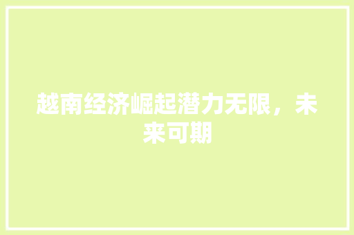 越南经济崛起潜力无限,未来可期 越南经济崛起潜力无限,未来可期