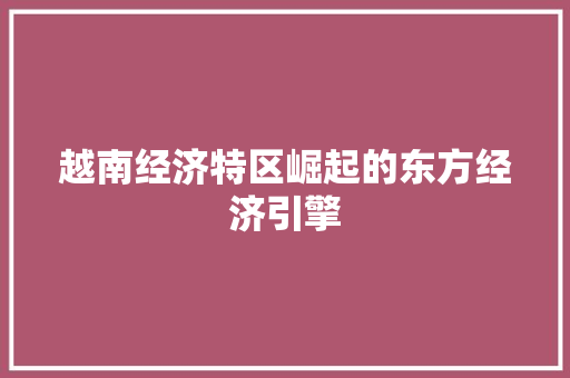 越南经济特区崛起的东方经济引擎 越南经济特区崛起的东方经济引擎