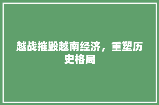 越战摧毁越南经济,重塑历史格局 越战摧毁越南经济,重塑历史格局