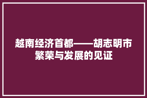 越南经济首都——胡志明市繁荣与发展的见证 越南经济首都——胡志明市繁荣与发展的见证