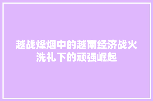 越战烽烟中的越南经济战火洗礼下的顽强崛起 越战烽烟中的越南经济战火洗礼下的顽强崛起