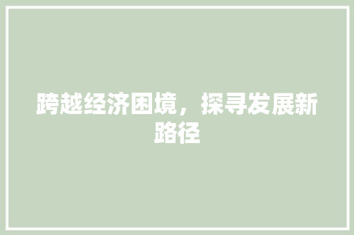 跨越经济困境,探寻发展新路径 跨越经济困境,探寻发展新路径