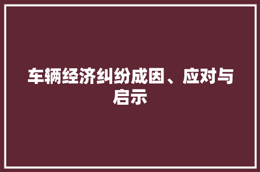 车辆经济纠纷成因、应对与启示 车辆经济纠纷成因、应对与启示