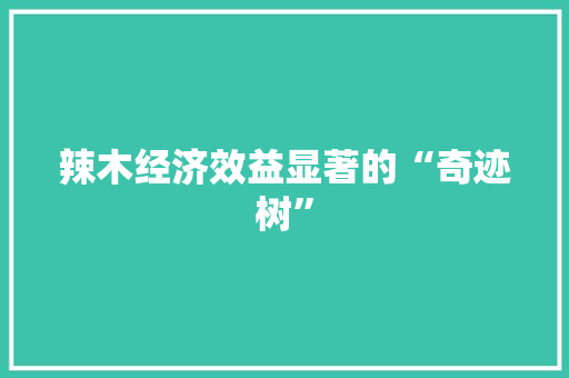 辣木经济效益显著的“奇迹树” 辣木经济效益显著的“奇迹树”