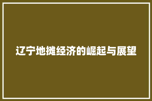 辽宁地摊经济的崛起与展望 辽宁地摊经济的崛起与展望