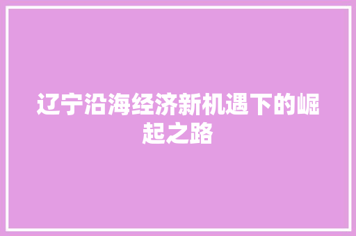 辽宁沿海经济新机遇下的崛起之路 辽宁沿海经济新机遇下的崛起之路