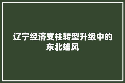 辽宁经济支柱转型升级中的东北雄风 辽宁经济支柱转型升级中的东北雄风