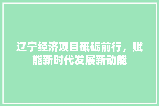辽宁经济项目砥砺前行,赋能新时代发展新动能 辽宁经济项目砥砺前行,赋能新时代发展新动能