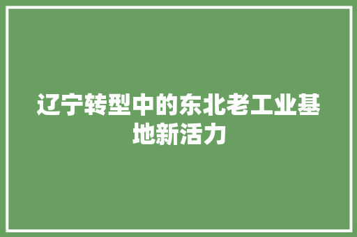辽宁转型中的东北老工业基地新活力