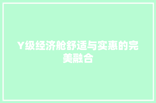 Y级经济舱舒适与实惠的完美融合 Y级经济舱舒适与实惠的完美融合