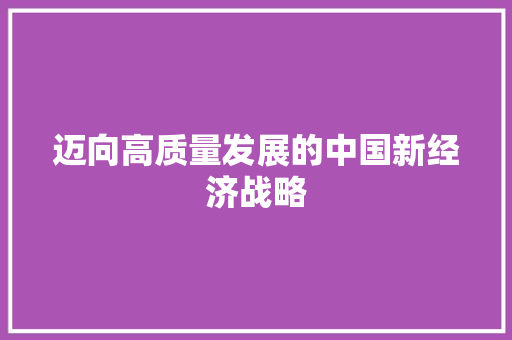 迈向高质量发展的中国新经济战略 迈向高质量发展的中国新经济战略