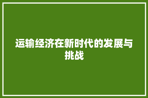 运输经济在新时代的发展与挑战 运输经济在新时代的发展与挑战