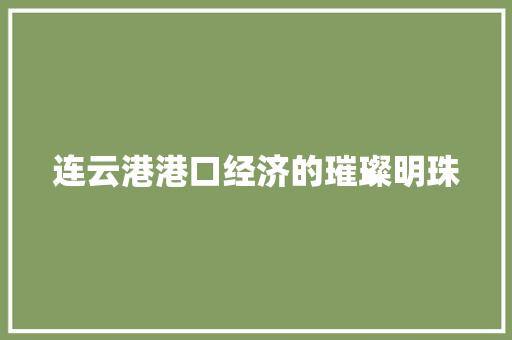 连云港港口经济的璀璨明珠 连云港港口经济的璀璨明珠