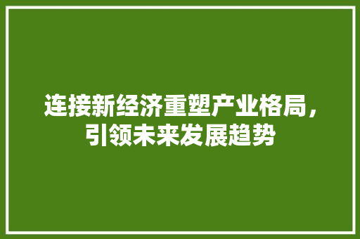 连接新经济重塑产业格局,引领未来发展趋势 连接新经济重塑产业格局,引领未来发展趋势
