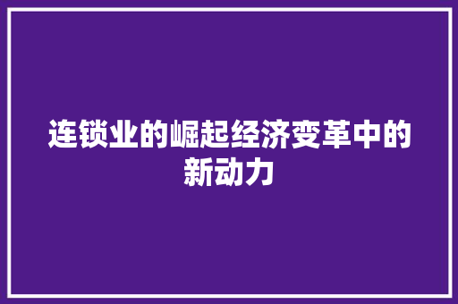 连锁业的崛起经济变革中的新动力 连锁业的崛起经济变革中的新动力