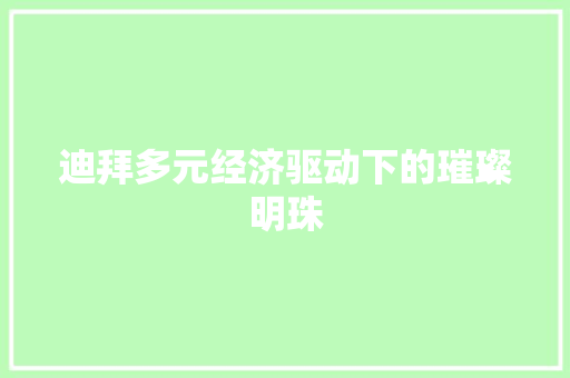 迪拜多元经济驱动下的璀璨明珠 迪拜多元经济驱动下的璀璨明珠