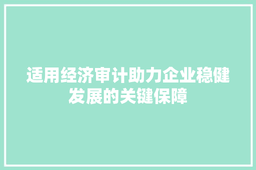 适用经济审计助力企业稳健发展的关键保障 适用经济审计助力企业稳健发展的关键保障