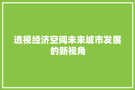透视经济空间未来城市发展的新视角 透视经济空间未来城市发展的新视角