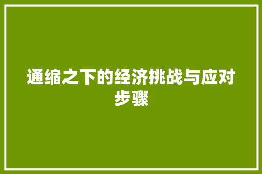 通缩之下的经济挑战与应对步骤 通缩之下的经济挑战与应对步骤