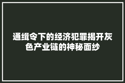 通缉令下的经济犯罪揭开灰色产业链的神秘面纱 通缉令下的经济犯罪揭开灰色产业链的神秘面纱