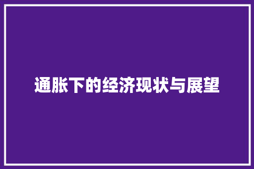 通胀下的经济现状与展望 通胀下的经济现状与展望