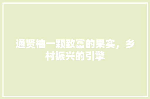 通贤柚一颗致富的果实,乡村振兴的引擎 通贤柚一颗致富的果实,乡村振兴的引擎