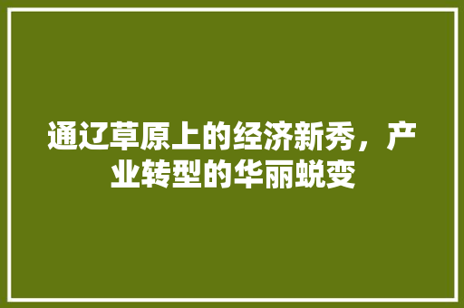 通辽草原上的经济新秀,产业转型的华丽蜕变 通辽草原上的经济新秀,产业转型的华丽蜕变