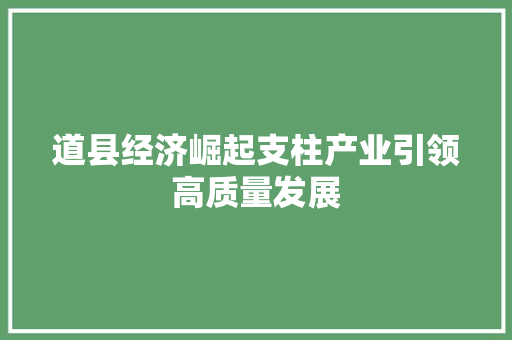 道县经济崛起支柱产业引领高质量发展 道县经济崛起支柱产业引领高质量发展