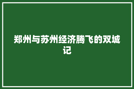 郑州与苏州经济腾飞的双城记 郑州与苏州经济腾飞的双城记