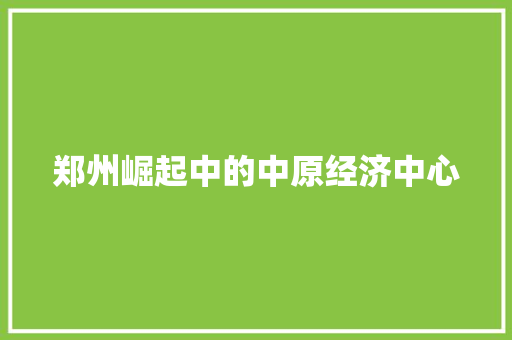 郑州崛起中的中原经济中心 郑州崛起中的中原经济中心