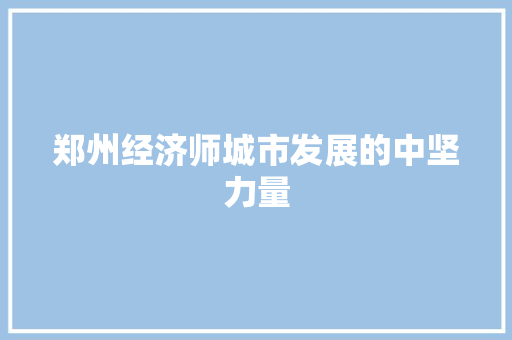 郑州经济师城市发展的中坚力量 郑州经济师城市发展的中坚力量