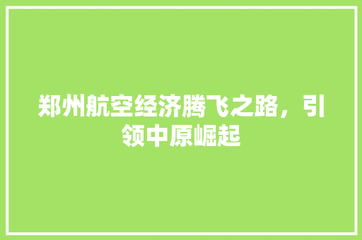 郑州航空经济腾飞之路,引领中原崛起 郑州航空经济腾飞之路,引领中原崛起