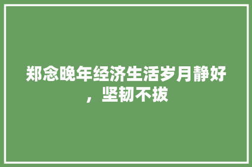 郑念晚年经济生活岁月静好,坚韧不拔 郑念晚年经济生活岁月静好,坚韧不拔