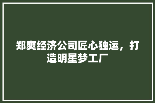 郑爽经济公司匠心独运,打造明星梦工厂 郑爽经济公司匠心独运,打造明星梦工厂