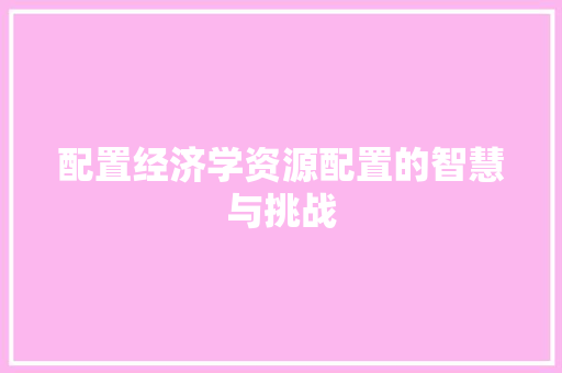 配置经济学资源配置的智慧与挑战 配置经济学资源配置的智慧与挑战