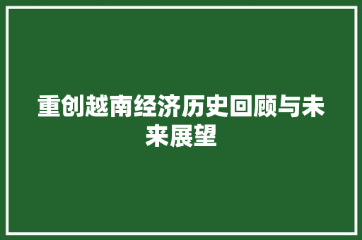 重创越南经济历史回顾与未来展望 重创越南经济历史回顾与未来展望