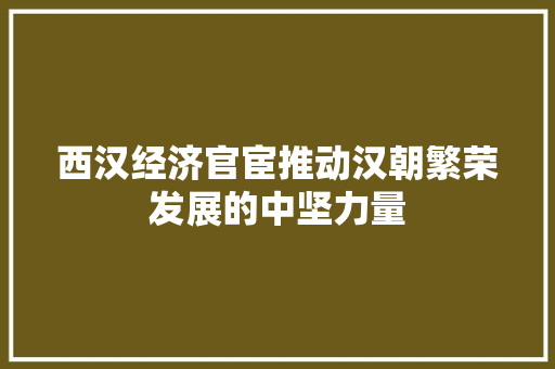西汉经济官宦推动汉朝繁荣发展的中坚力量 西汉经济官宦推动汉朝繁荣发展的中坚力量