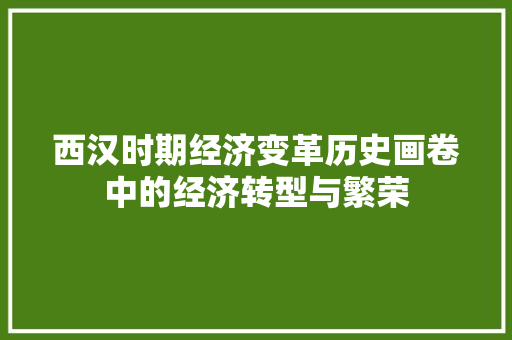 西汉时期经济变革历史画卷中的经济转型与繁荣 西汉时期经济变革历史画卷中的经济转型与繁荣