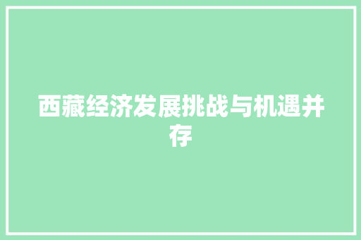 西藏经济发展挑战与机遇并存 西藏经济发展挑战与机遇并存