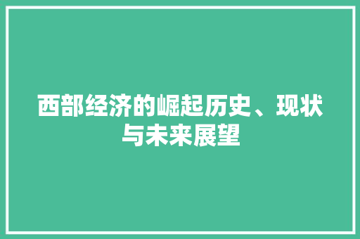 西部经济的崛起历史、现状与未来展望