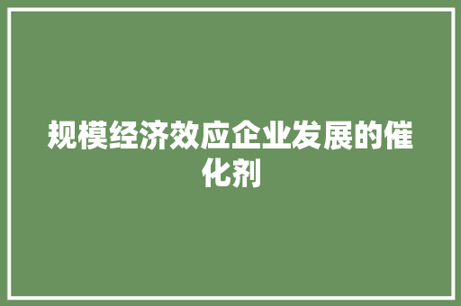规模经济效应企业发展的催化剂 规模经济效应企业发展的催化剂