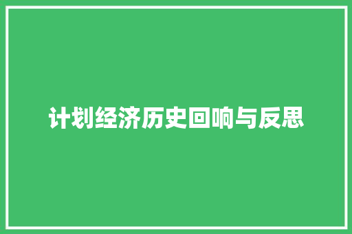 计划经济历史回响与反思 计划经济历史回响与反思