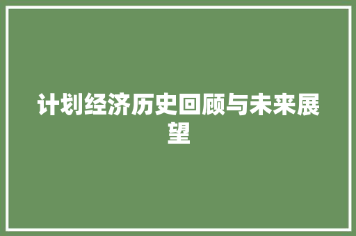 计划经济历史回顾与未来展望 计划经济历史回顾与未来展望
