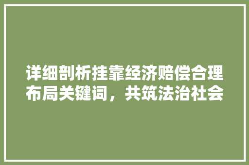 详细剖析挂靠经济赔偿合理布局关键词,共筑法治社会 详细剖析挂靠经济赔偿合理布局关键词,共筑法治社会