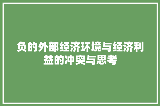 负的外部经济环境与经济利益的冲突与思考