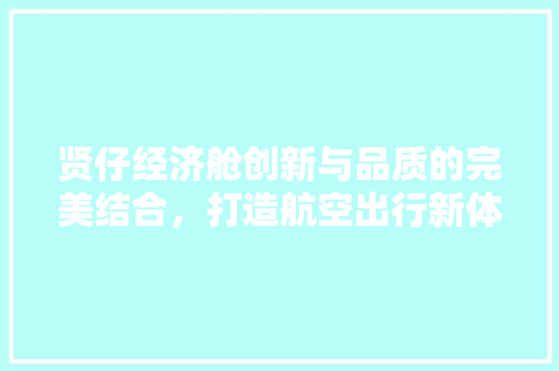 贤仔经济舱创新与品质的完美结合,打造航空出行新体验 贤仔经济舱创新与品质的完美结合,打造航空出行新体验